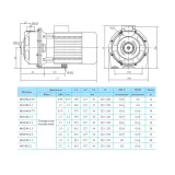 Центробережный поверхностный насос CNP MS 100/1,1 SSC